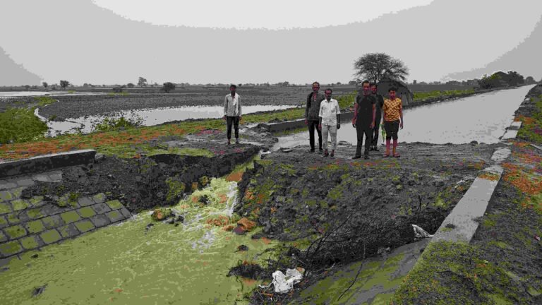 सावनभादौ डैम के गेट का निर्माण नहीं होने किसानों के खेतों में हो रहा जलभराव