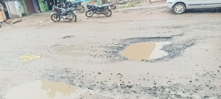 कस्बे के मुख्य बस स्टेंड पर हो रहे गड्ढे,हादसों को दे रहे न्योता